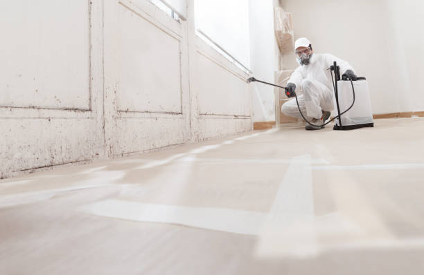 24/7 Emergency Mold Remediation experts in Derwood, MD